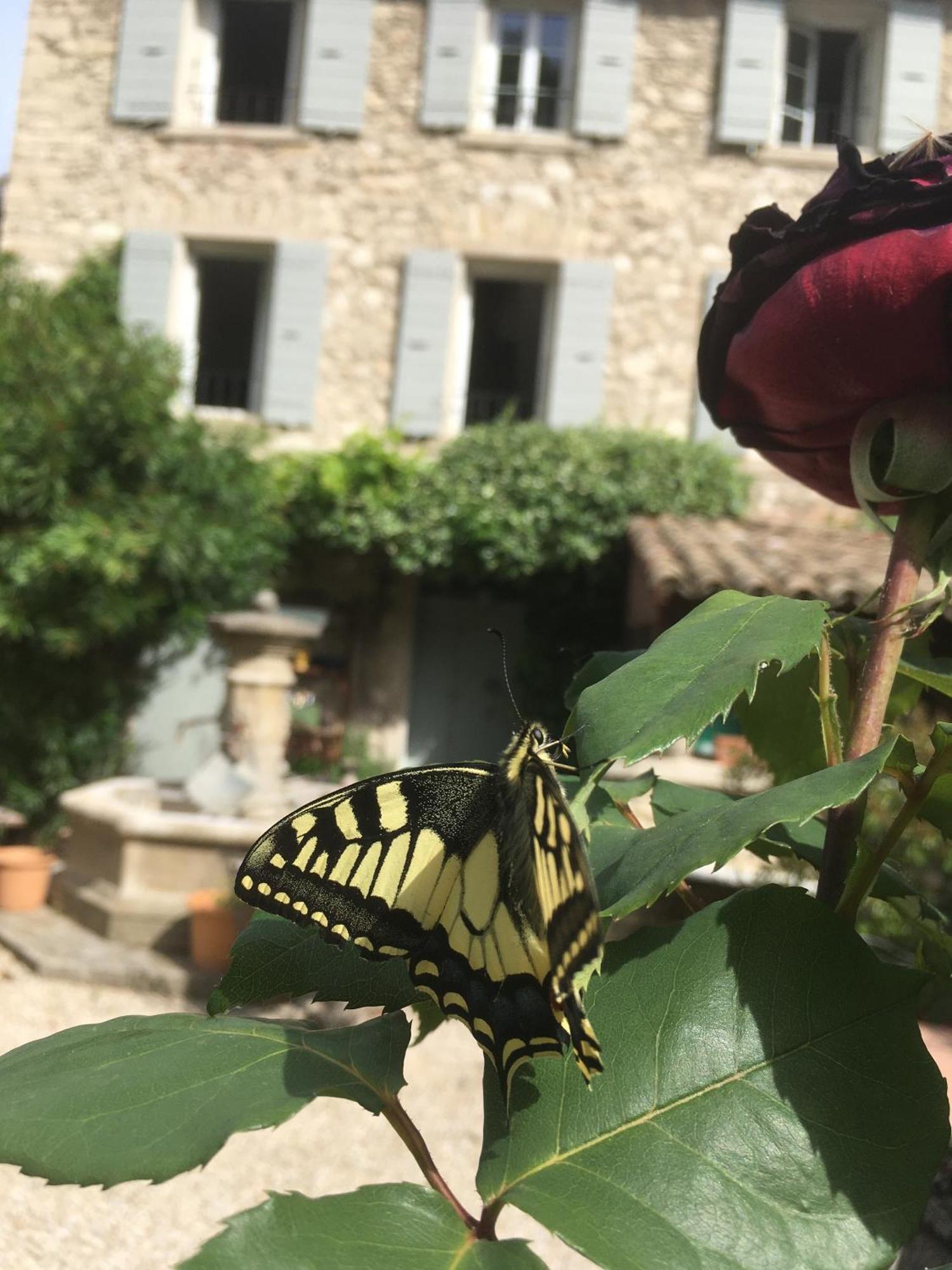 La Figuiere Fontaine De Vaucluse Bed & Breakfast エクステリア 写真